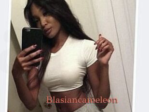 Blasiancameleon