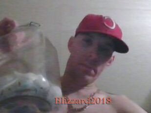 Blizzard2018