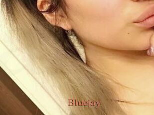 Blue_jay