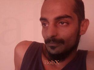 BobX