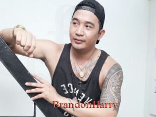 BrandonHarry