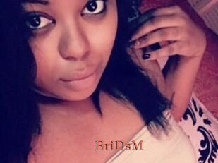 BriDsM