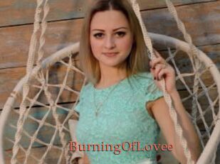 BurningOfLovee