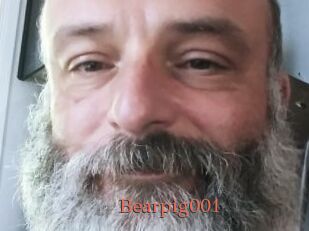 Bearpig001