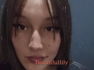 Beautifullily