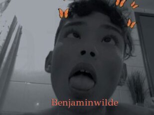 Benjaminwilde