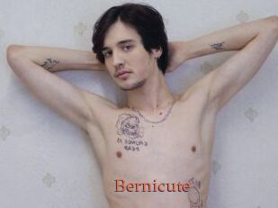 Bernicute