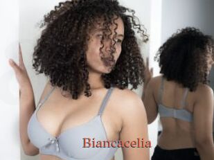 Biancacelia
