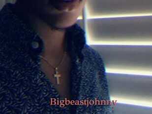Bigbeastjohnny