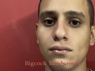 Bigcock_handsomes