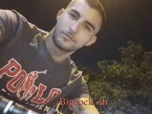 Bigcock_sh