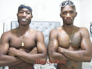 Bigcoocksu