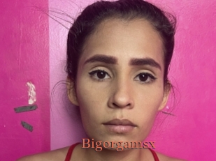 Bigorgamsx