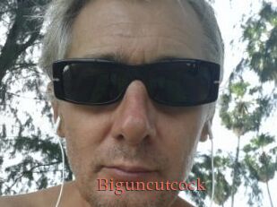Biguncutcock