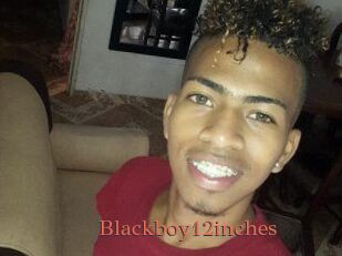 Blackboy12inches