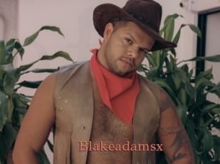blakeadamsx Anal Favorite