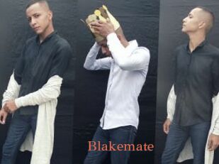 Blakemate