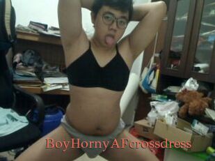 BoyHornyAFcrossdress