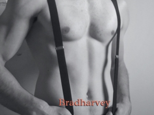 Bradharvey