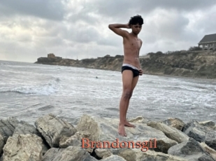 Brandonsgil