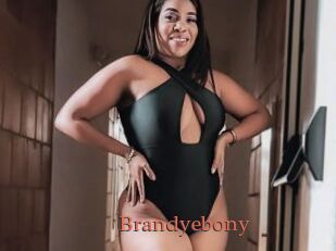 Brandyebony