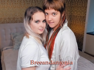 Breeandantonia
