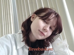 Breebaskett