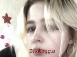 Breeboggus
