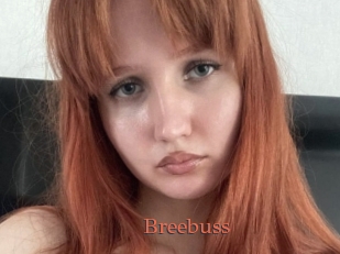 Breebuss