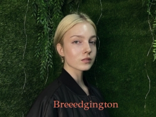 Breeedgington