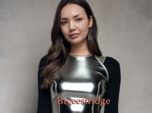 Breeestridge