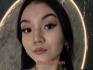Breeferrett