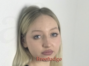 Breefudge