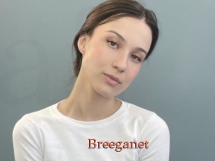 Breeganet