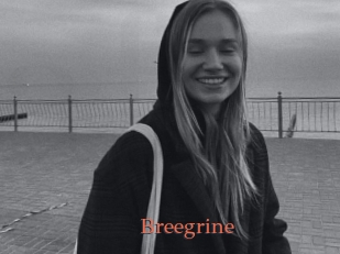 Breegrine