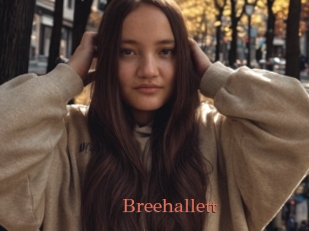 Breehallett