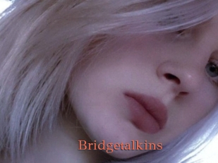 Bridgetalkins