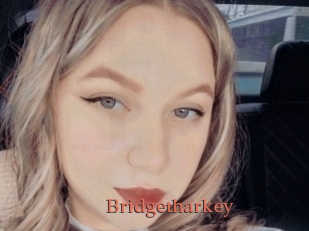 Bridgetharkey