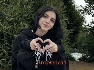 Broosnica1