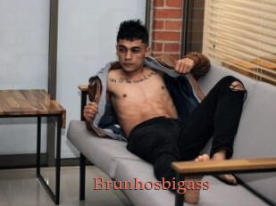 Brunhosbigass