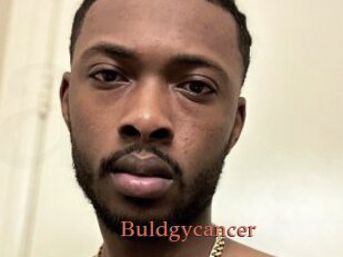 Buldgycancer