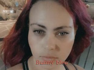 Bunny_bleu