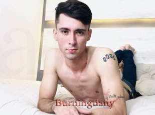 Burningdany