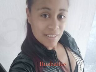Bushalice