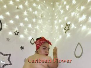 Caribean_Flower