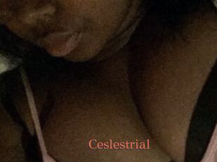 Ceslestrial
