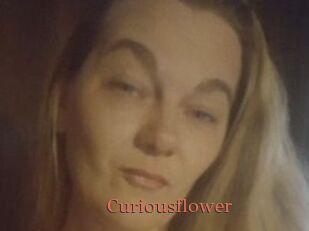Curiousflower