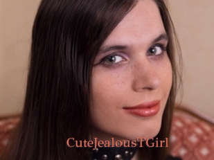 CuteJealousTGirl Anal Favorite
