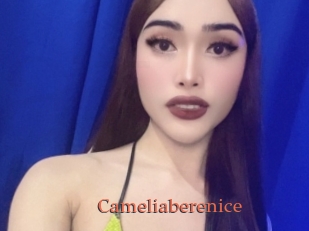Cameliaberenice