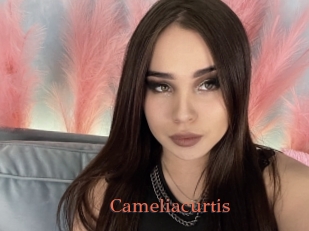 Cameliacurtis